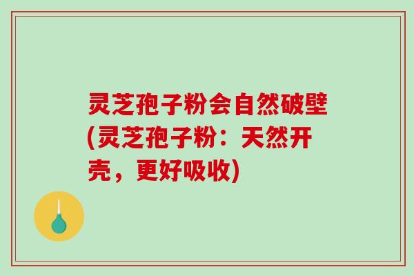 灵芝孢子粉会自然破壁(灵芝孢子粉:天然开壳,更好吸收)-第1张图片-破壁灵芝孢子粉研究指南 灵芝孢子粉会自然破壁(灵芝孢子粉:天然开壳,更好吸收)-第1张图片-破壁灵芝孢子粉研究指南