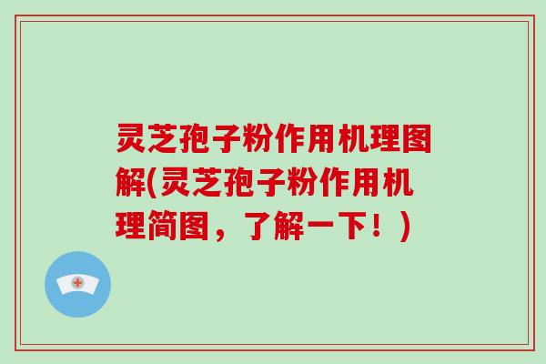 灵芝孢子粉作用机理图解(灵芝孢子粉作用机理简图,了解一下!)-第1张图片-破壁灵芝孢子粉研究指南 灵芝孢子粉作用机理图解(灵芝孢子粉作用机理简图,了解一下!)-第1张图片-破壁灵芝孢子粉研究指南