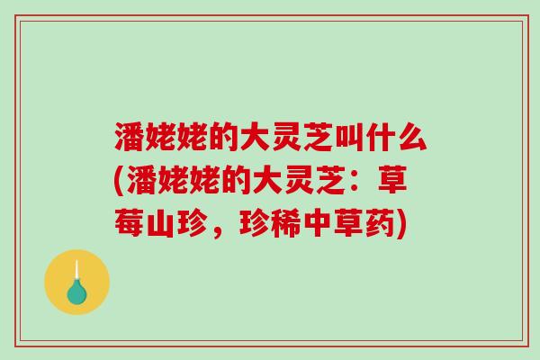 潘姥姥的大灵芝叫什么(潘姥姥的大灵芝:草莓山珍,珍稀中草药)-第1张图片-破壁灵芝孢子粉研究指南 潘姥姥的大灵芝叫什么(潘姥姥的大灵芝:草莓山珍,珍稀中草药)-第1张图片-破壁灵芝孢子粉研究指南