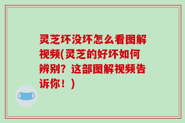 灵芝坏没坏怎么看图解视频(灵芝的好坏如何辨别?这部图解视频告诉你!)-第1张图片-破壁灵芝孢子粉研究指南 灵芝坏没坏怎么看图解视频(灵芝的好坏如何辨别?这部图解视频告诉你!)-第1张图片-破壁灵芝孢子粉研究指南