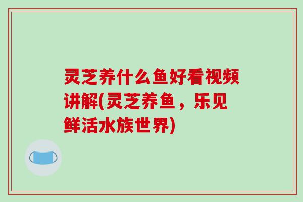 灵芝养什么鱼好看视频讲解(灵芝养鱼,乐见鲜活水族世界)-第1张图片-破壁灵芝孢子粉研究指南 灵芝养什么鱼好看视频讲解(灵芝养鱼,乐见鲜活水族世界)-第1张图片-破壁灵芝孢子粉研究指南