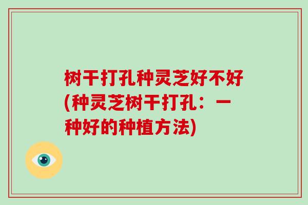 树干打孔种灵芝好不好(种灵芝树干打孔:一种好的种植方法)-第1张图片-破壁灵芝孢子粉研究指南 树干打孔种灵芝好不好(种灵芝树干打孔:一种好的种植方法)-第1张图片-破壁灵芝孢子粉研究指南