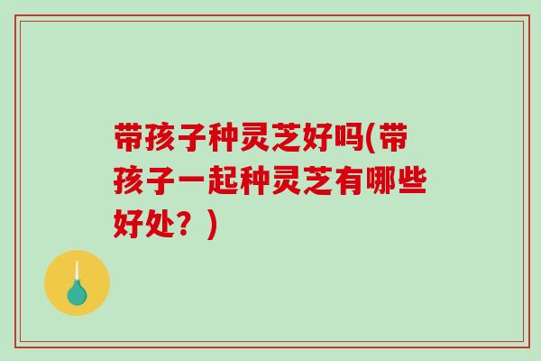 带孩子种灵芝好吗(带孩子一起种灵芝有哪些好处?)-第1张图片-破壁灵芝孢子粉研究指南 带孩子种灵芝好吗(带孩子一起种灵芝有哪些好处?)-第1张图片-破壁灵芝孢子粉研究指南