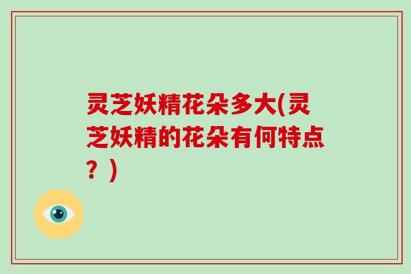灵芝妖精花朵多大(灵芝妖精的花朵有何特点?)-第1张图片-破壁灵芝孢子粉研究指南 灵芝妖精花朵多大(灵芝妖精的花朵有何特点?)-第1张图片-破壁灵芝孢子粉研究指南