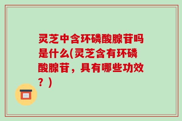 灵芝中含环磷酸腺苷吗是什么(灵芝含有环磷酸腺苷,具有哪些功效?)-第1张图片-破壁灵芝孢子粉研究指南 灵芝中含环磷酸腺苷吗是什么(灵芝含有环磷酸腺苷,具有哪些功效?)-第1张图片-破壁灵芝孢子粉研究指南