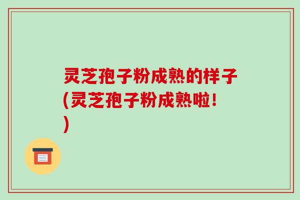 灵芝孢子粉成熟的样子(灵芝孢子粉成熟啦!)-第1张图片-破壁灵芝孢子粉研究指南 灵芝孢子粉成熟的样子(灵芝孢子粉成熟啦!)-第1张图片-破壁灵芝孢子粉研究指南