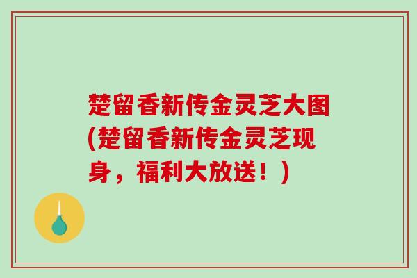 楚留香新传金灵芝大图(楚留香新传金灵芝现身，福利大放送！)-第1张图片-破壁灵芝孢子粉研究指南