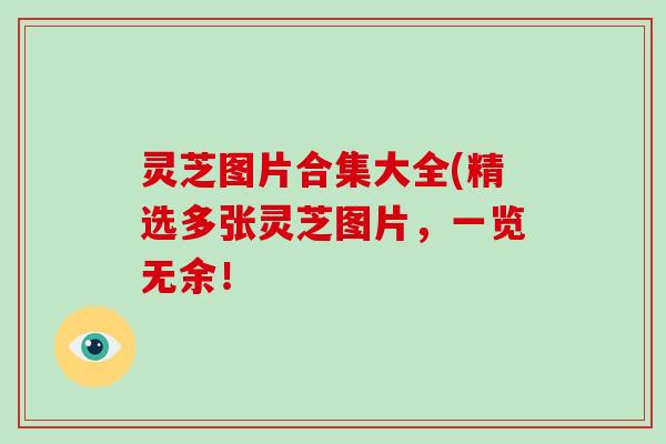 灵芝图片合集大全(精选多张灵芝图片,一览无余!-第1张图片-破壁灵芝孢子粉研究指南 灵芝图片合集大全(精选多张灵芝图片,一览无余!-第1张图片-破壁灵芝孢子粉研究指南