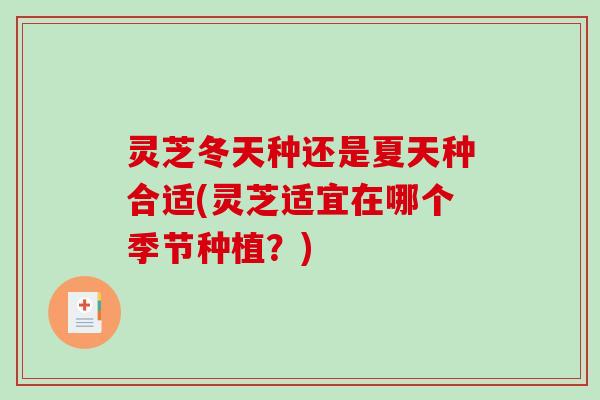 灵芝冬天种还是夏天种合适(灵芝适宜在哪个季节种植？)-第1张图片-破壁灵芝孢子粉研究指南