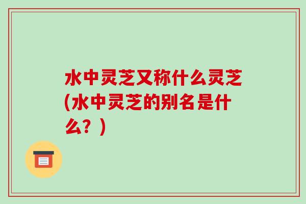 水中灵芝又称什么灵芝(水中灵芝的别名是什么?)-第1张图片-破壁灵芝孢子粉研究指南 水中灵芝又称什么灵芝(水中灵芝的别名是什么?)-第1张图片-破壁灵芝孢子粉研究指南