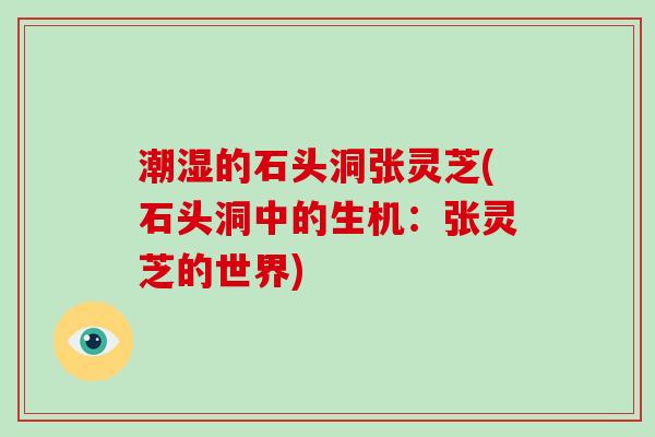 潮湿的石头洞张灵芝(石头洞中的生机：张灵芝的世界)-第1张图片-破壁灵芝孢子粉研究指南