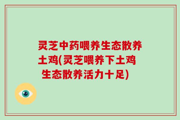 灵芝中药喂养生态散养土鸡(灵芝喂养下土鸡 生态散养活力十足)-第1张图片-破壁灵芝孢子粉研究指南