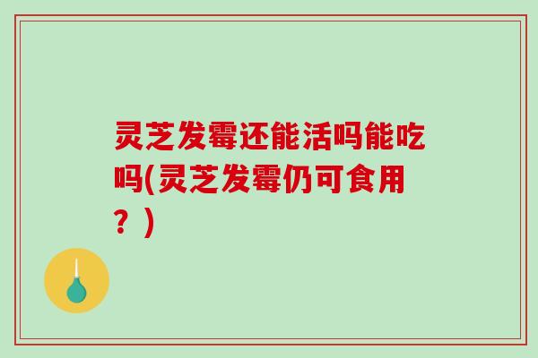 灵芝发霉还能活吗能吃吗(灵芝发霉仍可食用?)-第1张图片-破壁灵芝孢子粉研究指南 灵芝发霉还能活吗能吃吗(灵芝发霉仍可食用?)-第1张图片-破壁灵芝孢子粉研究指南