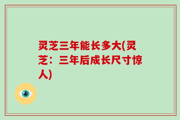 灵芝三年能长多大(灵芝:三年后成长尺寸惊人)-第1张图片-破壁灵芝孢子粉研究指南 灵芝三年能长多大(灵芝:三年后成长尺寸惊人)-第1张图片-破壁灵芝孢子粉研究指南