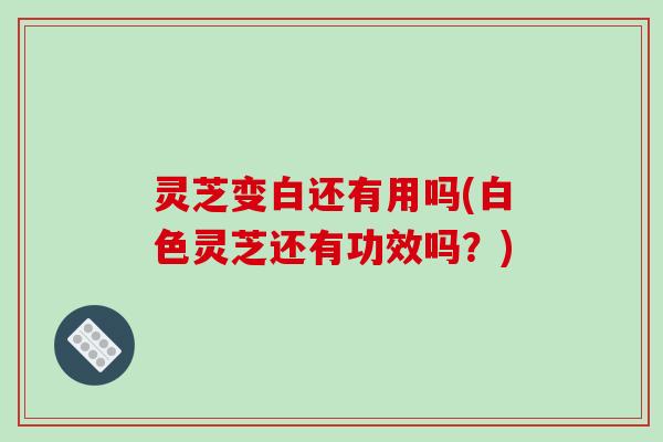灵芝变白还有用吗(白色灵芝还有功效吗?)-第1张图片-破壁灵芝孢子粉研究指南 灵芝变白还有用吗(白色灵芝还有功效吗?)-第1张图片-破壁灵芝孢子粉研究指南
