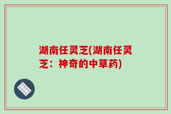 湖南任灵芝(湖南任灵芝:神奇的中草药)-第1张图片-破壁灵芝孢子粉研究指南 湖南任灵芝(湖南任灵芝:神奇的中草药)-第1张图片-破壁灵芝孢子粉研究指南