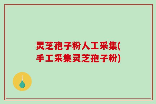 灵芝孢子粉人工采集(手工采集灵芝孢子粉)-第1张图片-破壁灵芝孢子粉研究指南 灵芝孢子粉人工采集(手工采集灵芝孢子粉)-第1张图片-破壁灵芝孢子粉研究指南