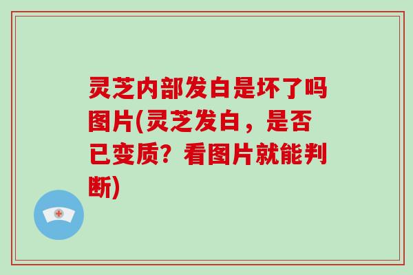 灵芝内部发白是坏了吗图片(灵芝发白,是否已变质?看图片就能判断)-第1张图片-破壁灵芝孢子粉研究指南 灵芝内部发白是坏了吗图片(灵芝发白,是否已变质?看图片就能判断)-第1张图片-破壁灵芝孢子粉研究指南