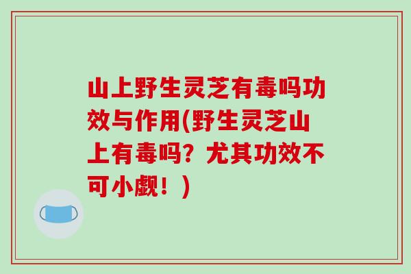 山上野生灵芝有毒吗功效与作用(野生灵芝山上有毒吗?尤其功效不可小觑!)-第1张图片-破壁灵芝孢子粉研究指南 山上野生灵芝有毒吗功效与作用(野生灵芝山上有毒吗?尤其功效不可小觑!)-第1张图片-破壁灵芝孢子粉研究指南