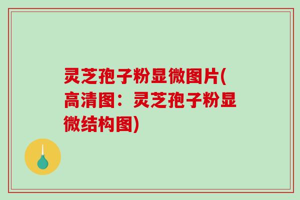 灵芝孢子粉显微图片(高清图:灵芝孢子粉显微结构图)-第1张图片-破壁灵芝孢子粉研究指南 灵芝孢子粉显微图片(高清图:灵芝孢子粉显微结构图)-第1张图片-破壁灵芝孢子粉研究指南