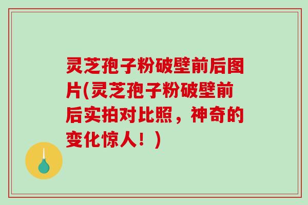 灵芝孢子粉破壁前后图片(灵芝孢子粉破壁前后实拍对比照,神奇的变化惊人!)-第1张图片-破壁灵芝孢子粉研究指南 灵芝孢子粉破壁前后图片(灵芝孢子粉破壁前后实拍对比照,神奇的变化惊人!)-第1张图片-破壁灵芝孢子粉研究指南
