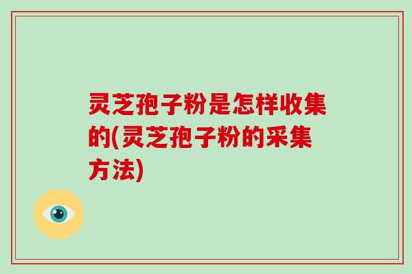 灵芝孢子粉是怎样收集的(灵芝孢子粉的采集方法)-第1张图片-破壁灵芝孢子粉研究指南 灵芝孢子粉是怎样收集的(灵芝孢子粉的采集方法)-第1张图片-破壁灵芝孢子粉研究指南