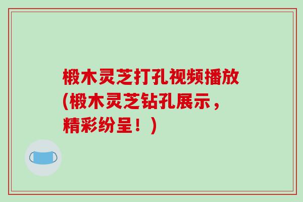 椴木灵芝打孔视频播放(椴木灵芝钻孔展示,精彩纷呈!)-第1张图片-破壁灵芝孢子粉研究指南 椴木灵芝打孔视频播放(椴木灵芝钻孔展示,精彩纷呈!)-第1张图片-破壁灵芝孢子粉研究指南