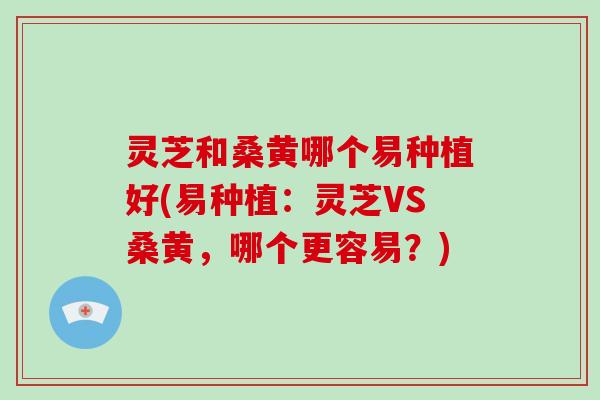 灵芝和桑黄哪个易种植好(易种植:灵芝VS桑黄,哪个更容易?)-第1张图片-破壁灵芝孢子粉研究指南 灵芝和桑黄哪个易种植好(易种植:灵芝VS桑黄,哪个更容易?)-第1张图片-破壁灵芝孢子粉研究指南