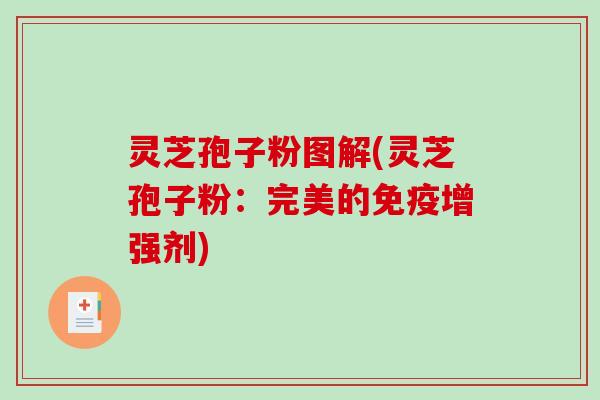 灵芝孢子粉图解(灵芝孢子粉:完美的免疫增强剂)-第1张图片-破壁灵芝孢子粉研究指南 灵芝孢子粉图解(灵芝孢子粉:完美的免疫增强剂)-第1张图片-破壁灵芝孢子粉研究指南