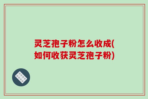 灵芝孢子粉怎么收成(如何收获灵芝孢子粉)-第1张图片-破壁灵芝孢子粉研究指南 灵芝孢子粉怎么收成(如何收获灵芝孢子粉)-第1张图片-破壁灵芝孢子粉研究指南