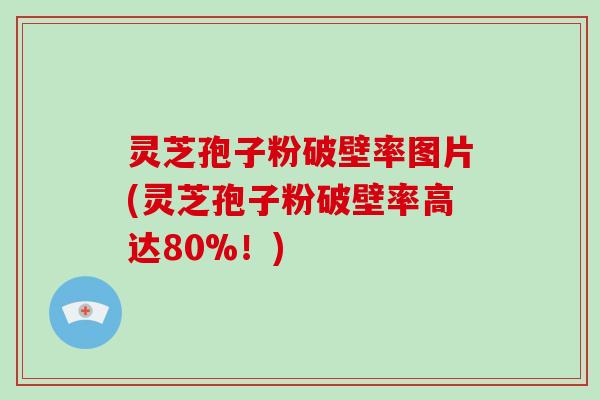 灵芝孢子粉破壁率图片(灵芝孢子粉破壁率高达80%!)-第1张图片-破壁灵芝孢子粉研究指南 灵芝孢子粉破壁率图片(灵芝孢子粉破壁率高达80%!)-第1张图片-破壁灵芝孢子粉研究指南