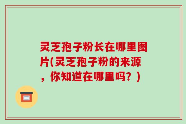 灵芝孢子粉长在哪里图片(灵芝孢子粉的来源,你知道在哪里吗?)-第1张图片-破壁灵芝孢子粉研究指南 灵芝孢子粉长在哪里图片(灵芝孢子粉的来源,你知道在哪里吗?)-第1张图片-破壁灵芝孢子粉研究指南