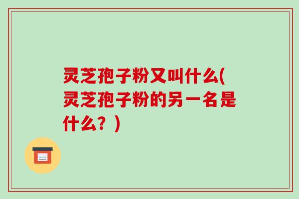 灵芝孢子粉又叫什么(灵芝孢子粉的另一名是什么?)-第1张图片-破壁灵芝孢子粉研究指南 灵芝孢子粉又叫什么(灵芝孢子粉的另一名是什么?)-第1张图片-破壁灵芝孢子粉研究指南