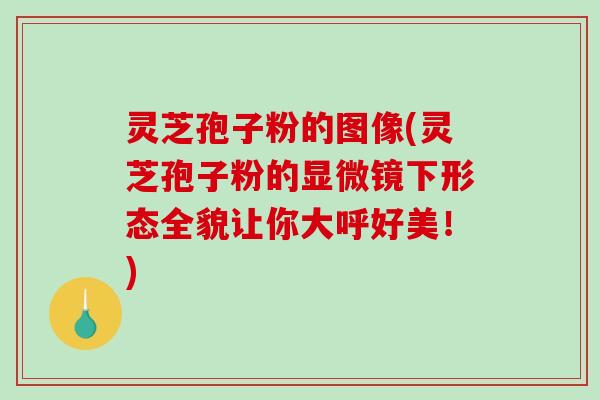 灵芝孢子粉的图像(灵芝孢子粉的显微镜下形态全貌让你大呼好美!)-第1张图片-破壁灵芝孢子粉研究指南 灵芝孢子粉的图像(灵芝孢子粉的显微镜下形态全貌让你大呼好美!)-第1张图片-破壁灵芝孢子粉研究指南