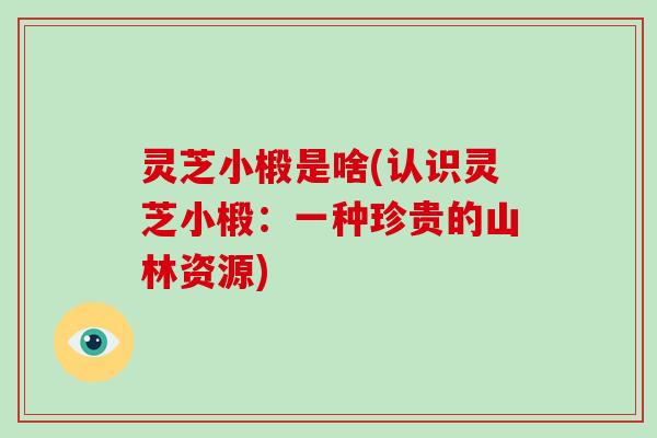 灵芝小椴是啥(认识灵芝小椴:一种珍贵的山林资源)-第1张图片-破壁灵芝孢子粉研究指南 灵芝小椴是啥(认识灵芝小椴:一种珍贵的山林资源)-第1张图片-破壁灵芝孢子粉研究指南