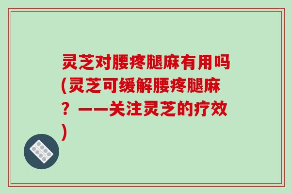 灵芝对腰疼腿麻有用吗(灵芝可缓解腰疼腿麻?——关注灵芝的疗效)-第1张图片-破壁灵芝孢子粉研究指南 灵芝对腰疼腿麻有用吗(灵芝可缓解腰疼腿麻?——关注灵芝的疗效)-第1张图片-破壁灵芝孢子粉研究指南
