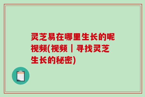 灵芝易在哪里生长的呢视频(视频|寻找灵芝生长的秘密)-第1张图片-破壁灵芝孢子粉研究指南 灵芝易在哪里生长的呢视频(视频|寻找灵芝生长的秘密)-第1张图片-破壁灵芝孢子粉研究指南