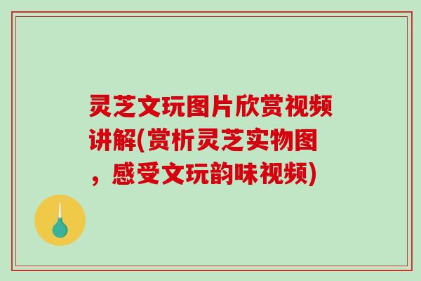灵芝文玩图片欣赏视频讲解(赏析灵芝实物图，感受文玩韵味视频)-第1张图片-破壁灵芝孢子粉研究指南