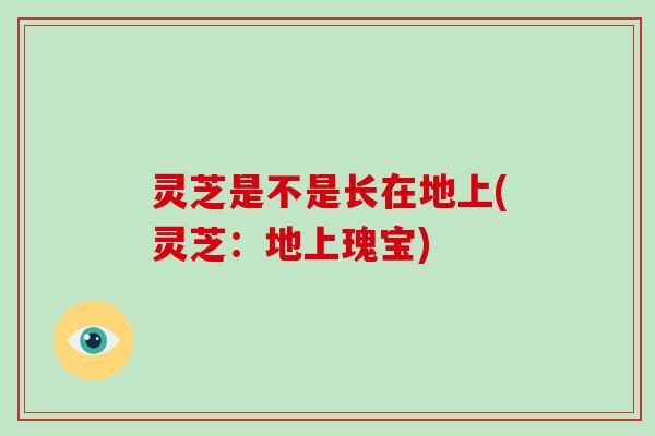 灵芝是不是长在地上(灵芝:地上瑰宝)-第1张图片-破壁灵芝孢子粉研究指南 灵芝是不是长在地上(灵芝:地上瑰宝)-第1张图片-破壁灵芝孢子粉研究指南