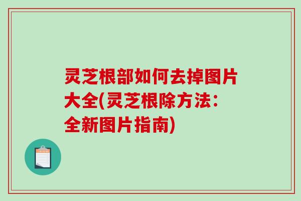 灵芝根部如何去掉图片大全(灵芝根除方法:全新图片指南)-第1张图片-破壁灵芝孢子粉研究指南 灵芝根部如何去掉图片大全(灵芝根除方法:全新图片指南)-第1张图片-破壁灵芝孢子粉研究指南