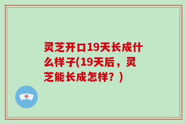 灵芝开口19天长成什么样子(19天后,灵芝能长成怎样?)-第1张图片-破壁灵芝孢子粉研究指南 灵芝开口19天长成什么样子(19天后,灵芝能长成怎样?)-第1张图片-破壁灵芝孢子粉研究指南
