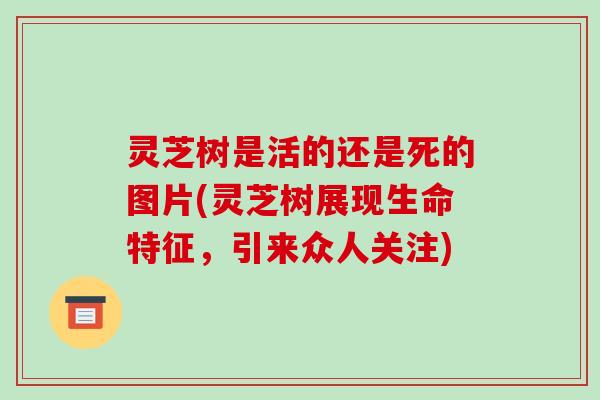 灵芝树是活的还是死的图片(灵芝树展现生命特征,引来众人关注)-第1张图片-破壁灵芝孢子粉研究指南 灵芝树是活的还是死的图片(灵芝树展现生命特征,引来众人关注)-第1张图片-破壁灵芝孢子粉研究指南