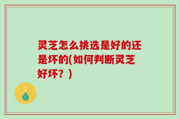 灵芝怎么挑选是好的还是坏的(如何判断灵芝好坏?)-第1张图片-破壁灵芝孢子粉研究指南 灵芝怎么挑选是好的还是坏的(如何判断灵芝好坏?)-第1张图片-破壁灵芝孢子粉研究指南