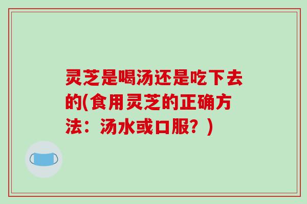 灵芝是喝汤还是吃下去的(食用灵芝的正确方法:汤水或口服?)-第1张图片-破壁灵芝孢子粉研究指南 灵芝是喝汤还是吃下去的(食用灵芝的正确方法:汤水或口服?)-第1张图片-破壁灵芝孢子粉研究指南