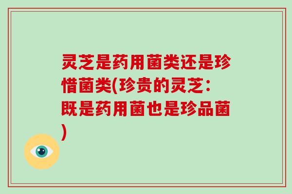 灵芝是药用菌类还是珍惜菌类(珍贵的灵芝：既是药用菌也是珍品菌)-第1张图片-破壁灵芝孢子粉研究指南