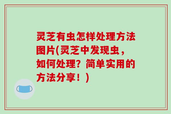 灵芝有虫怎样处理方法图片(灵芝中发现虫,如何处理?简单实用的方法分享!)-第1张图片-破壁灵芝孢子粉研究指南 灵芝有虫怎样处理方法图片(灵芝中发现虫,如何处理?简单实用的方法分享!)-第1张图片-破壁灵芝孢子粉研究指南