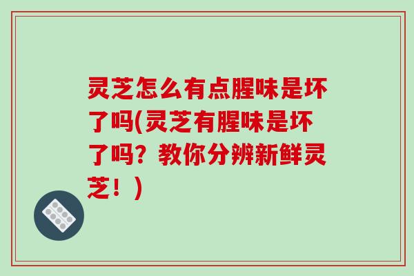 灵芝怎么有点腥味是坏了吗(灵芝有腥味是坏了吗？教你分辨新鲜灵芝！)-第1张图片-破壁灵芝孢子粉研究指南