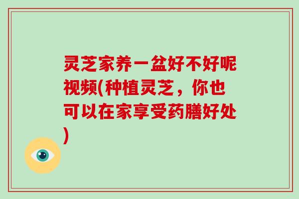 灵芝家养一盆好不好呢视频(种植灵芝,你也可以在家享受药膳好处)-第1张图片-破壁灵芝孢子粉研究指南 灵芝家养一盆好不好呢视频(种植灵芝,你也可以在家享受药膳好处)-第1张图片-破壁灵芝孢子粉研究指南