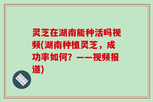 灵芝在湖南能种活吗视频(湖南种植灵芝,成功率如何?——视频报道)-第1张图片-破壁灵芝孢子粉研究指南 灵芝在湖南能种活吗视频(湖南种植灵芝,成功率如何?——视频报道)-第1张图片-破壁灵芝孢子粉研究指南