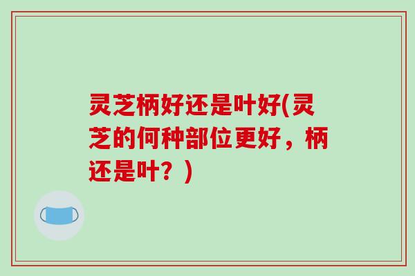 灵芝柄好还是叶好(灵芝的何种部位更好,柄还是叶?)-第1张图片-破壁灵芝孢子粉研究指南 灵芝柄好还是叶好(灵芝的何种部位更好,柄还是叶?)-第1张图片-破壁灵芝孢子粉研究指南